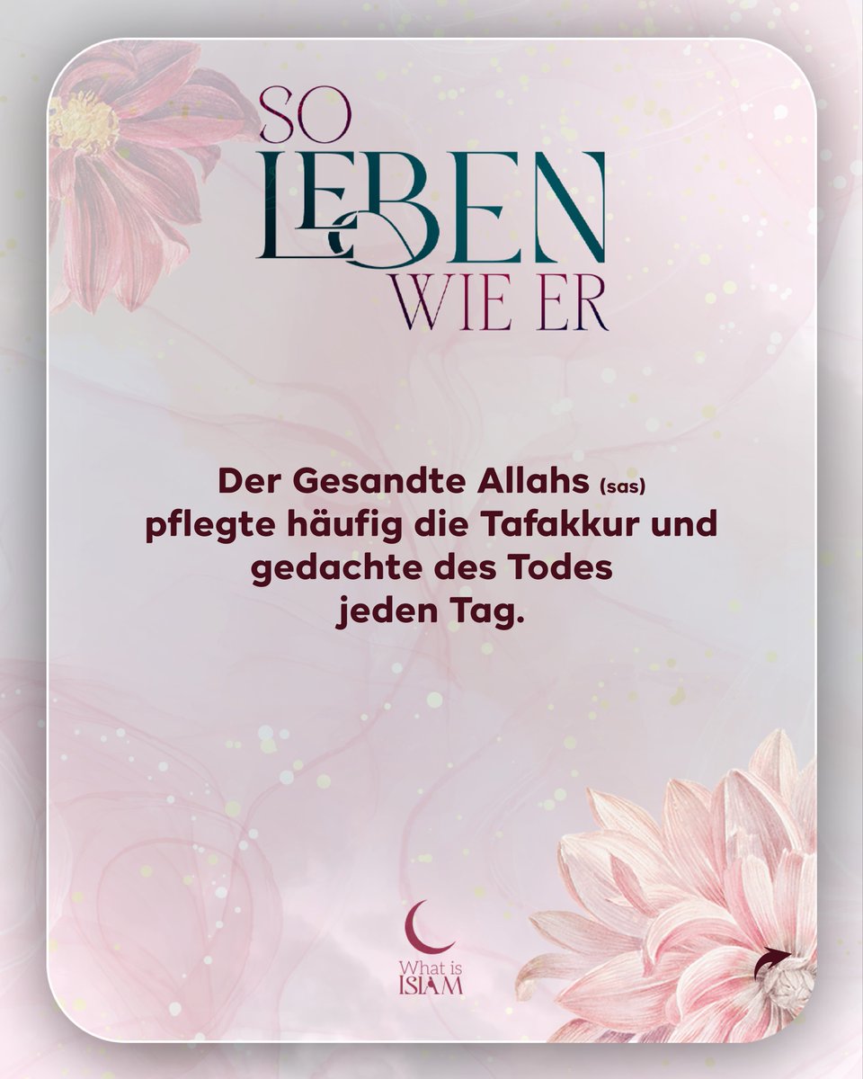 what_isislam_'s tweet image. #Whatisislam #ProphetMuhammad #Sunnah