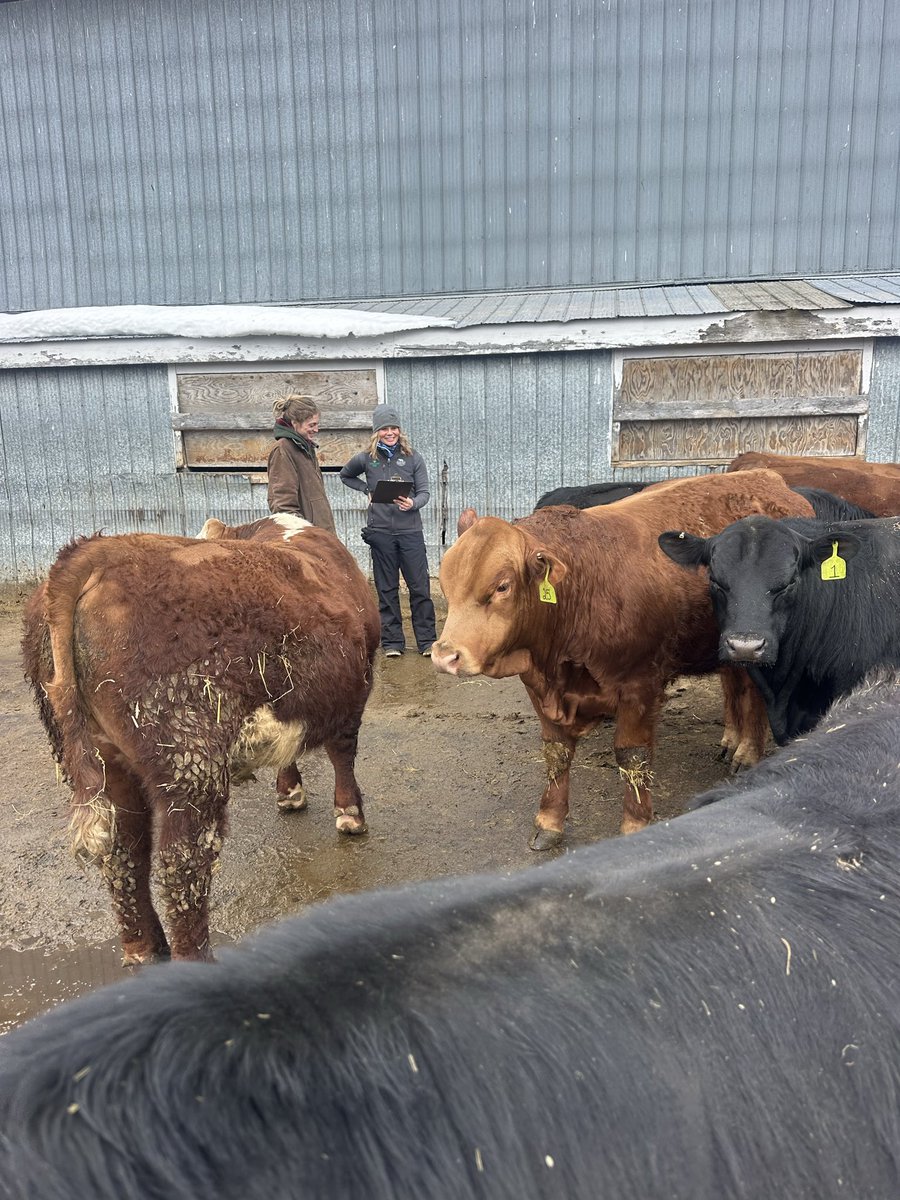 jaclyn wilson tweet media