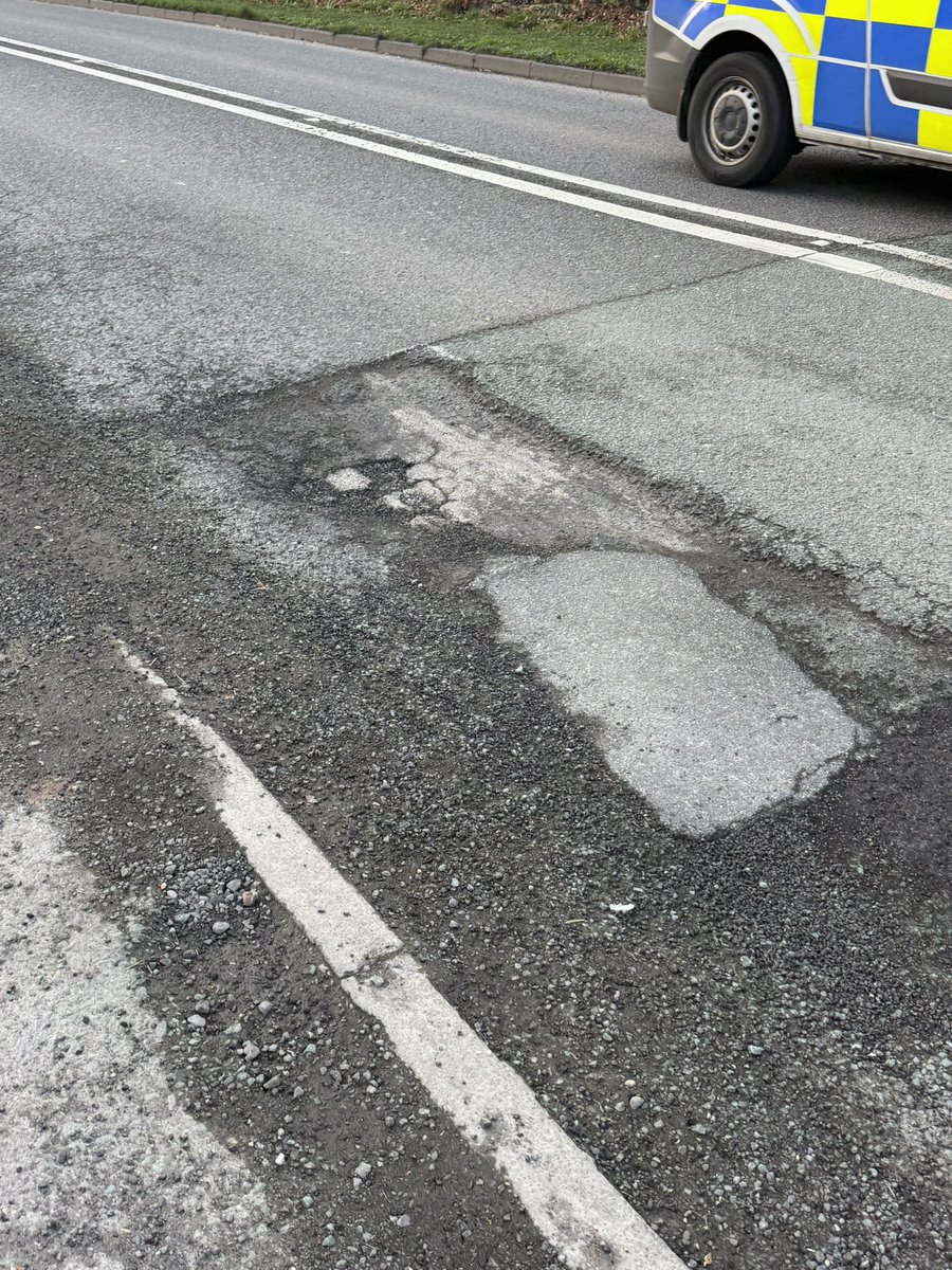 TheMeerkatExpress tweet media