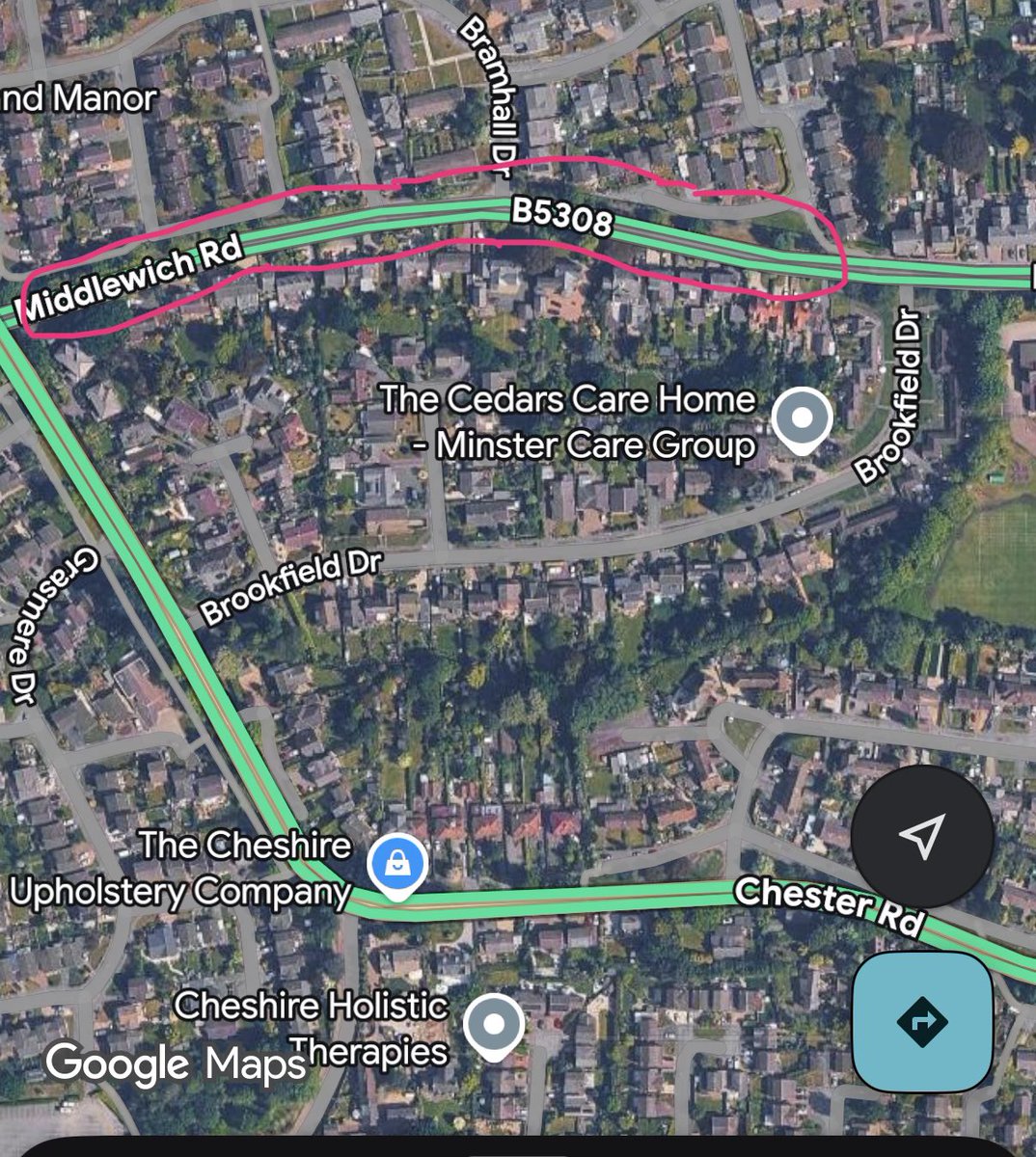 TheMeerkatExpress tweet media