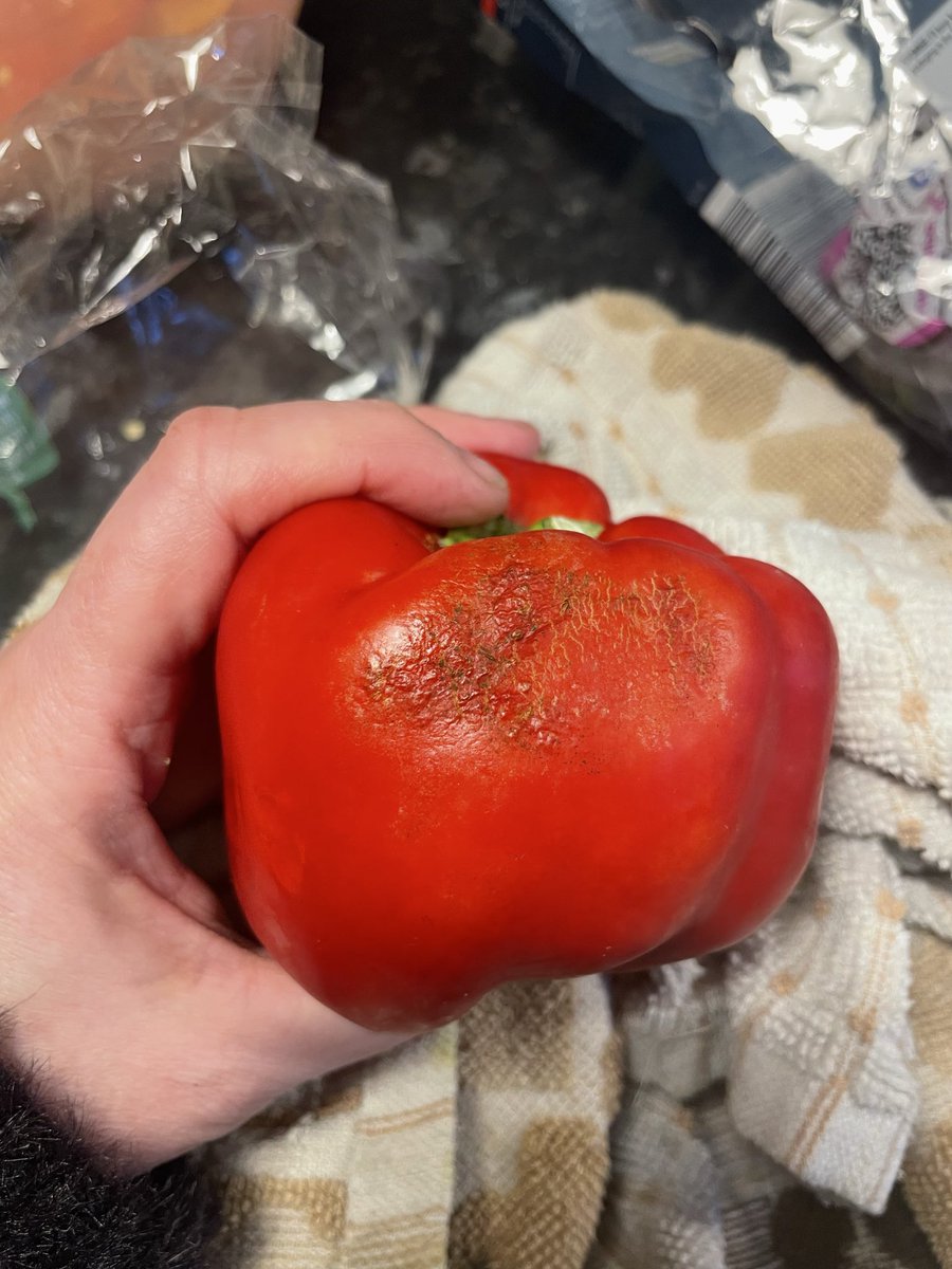 SallyTKing's tweet photo. Now my peppers! I’m getting a takeaway…. https://t.co/zDvz1hg6LQ