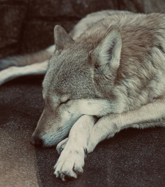 Christie Krausslach tweet media