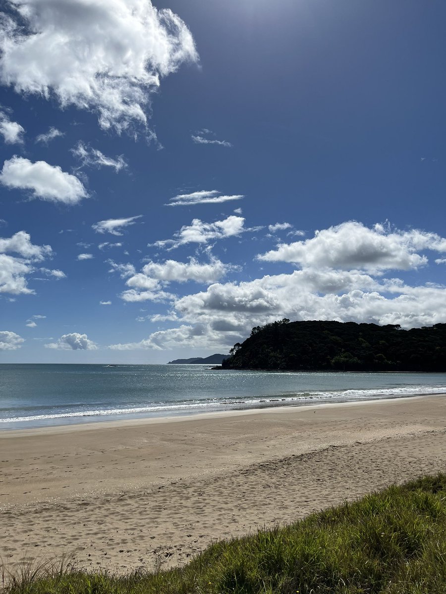 SitaraWrites's tweet photo. Good morning
Home beach, more or less (#taipa) 🥰✨ https://t.co/sV3x4FYxmK