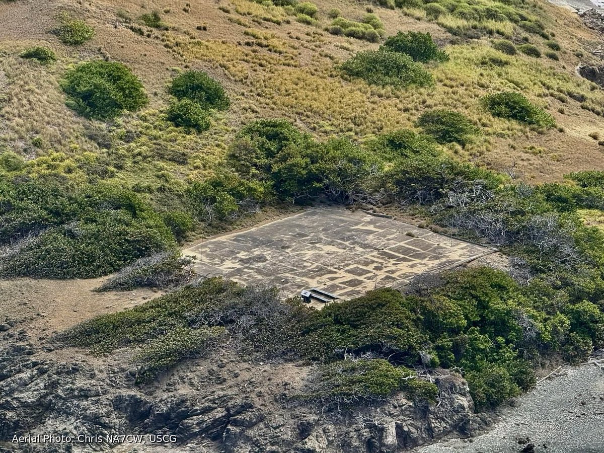 DX World.net tweet media