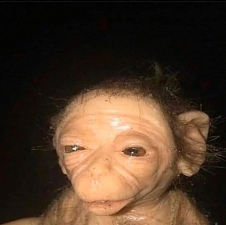 "amor mándame una foto"
El estado en el que me encuentro