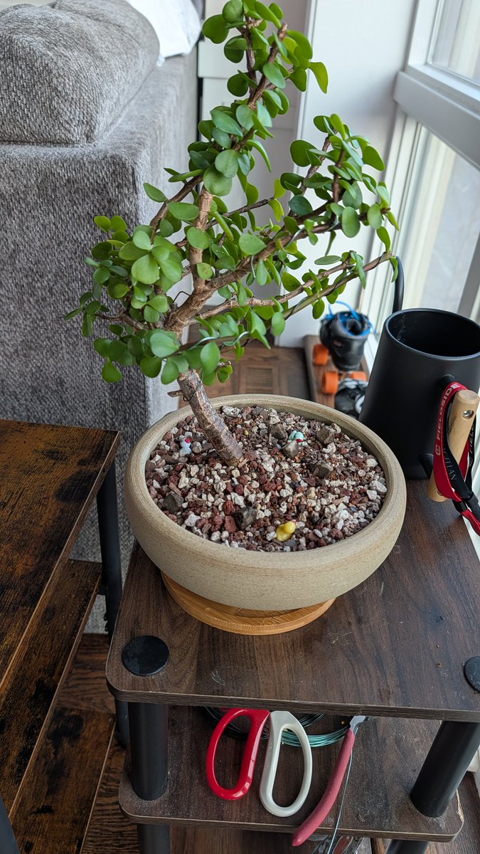 JEPP | PCH | Pinecone tweet media