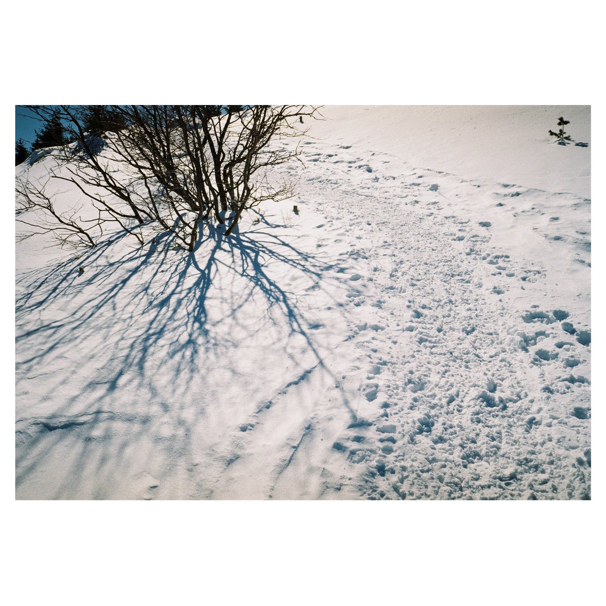 hacograph (@hacograph) on Twitter photo 