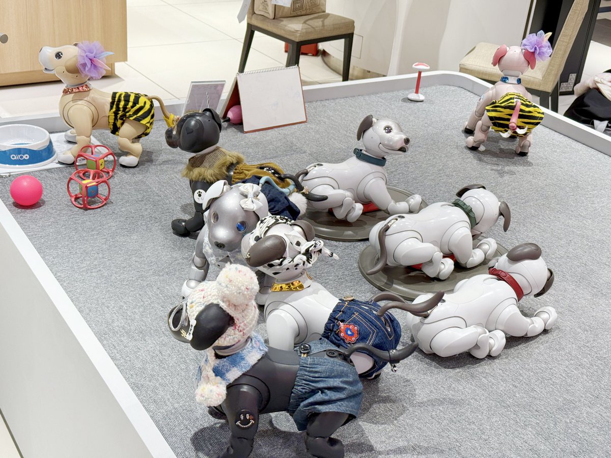 ryu_no_life's tweet photo. aibo × ハービス大阪　2026
今年も開催ありがとうございます！
変な時間かなと心配でしたがお友達いてよかったー！
今回、いつもイベントの時にお店が置いてくれてる足あと帳？がなかった？
今度はあるといいなぁ〜

#aibo #aiboのオーナーさんと繋がりたい #aiboとおでかけ 
#ソニーストア大阪 https://t.co/2u04jWKsgn