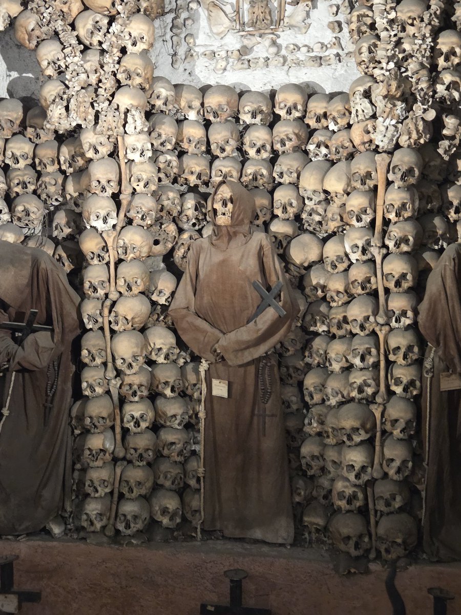 AlexCoombsCrime tweet media