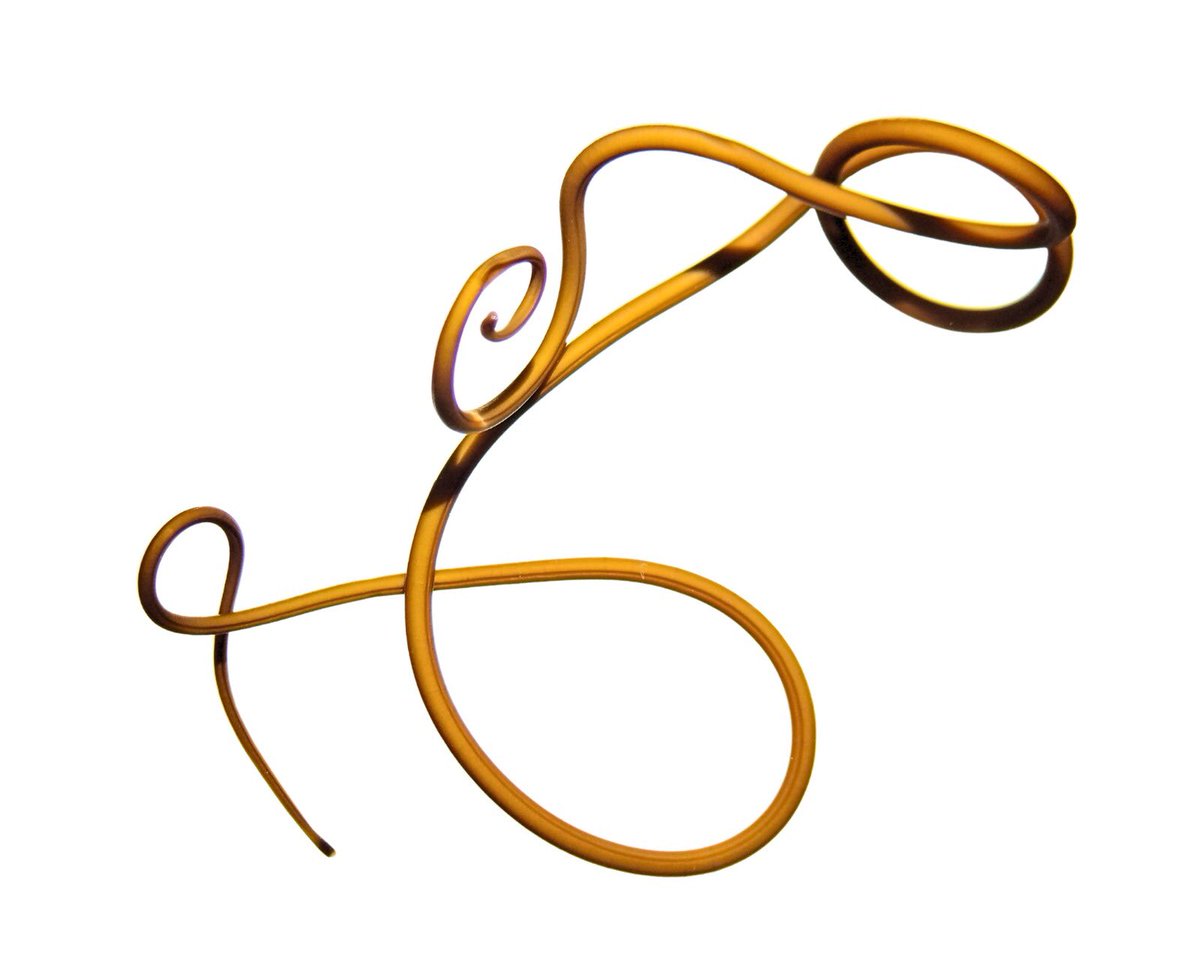 Carlos Lasso tweet media