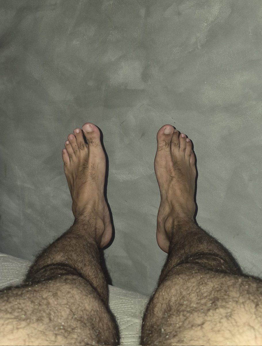 thisismyexile's tweet photo. A cara // as patas https://t.co/AFlaABpdwm