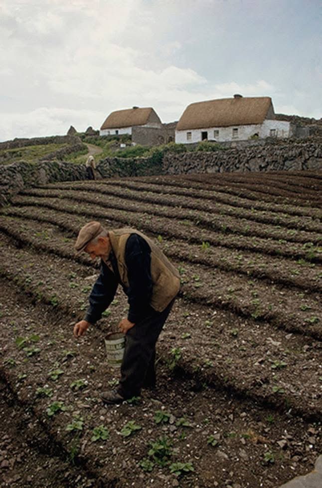 Days of the MV Naomh Éanna, Ireland tweet media
