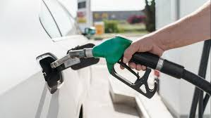 Grouse Beater tweet media