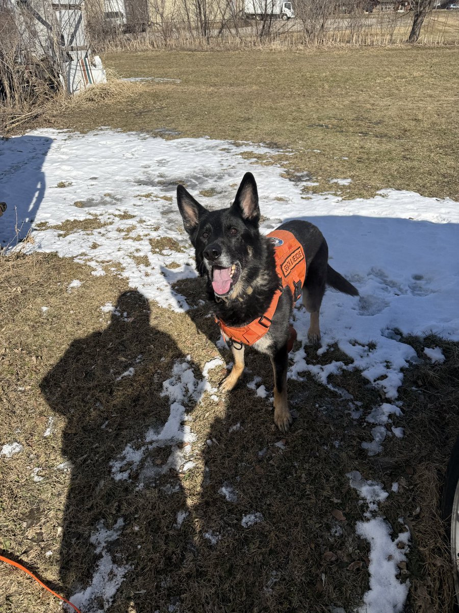 LisameadowsCBS tweet media