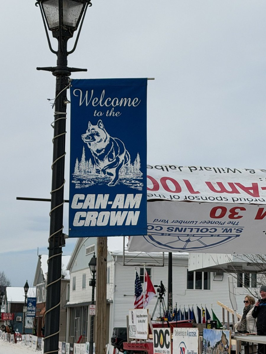 Susan Collins for Senator tweet media