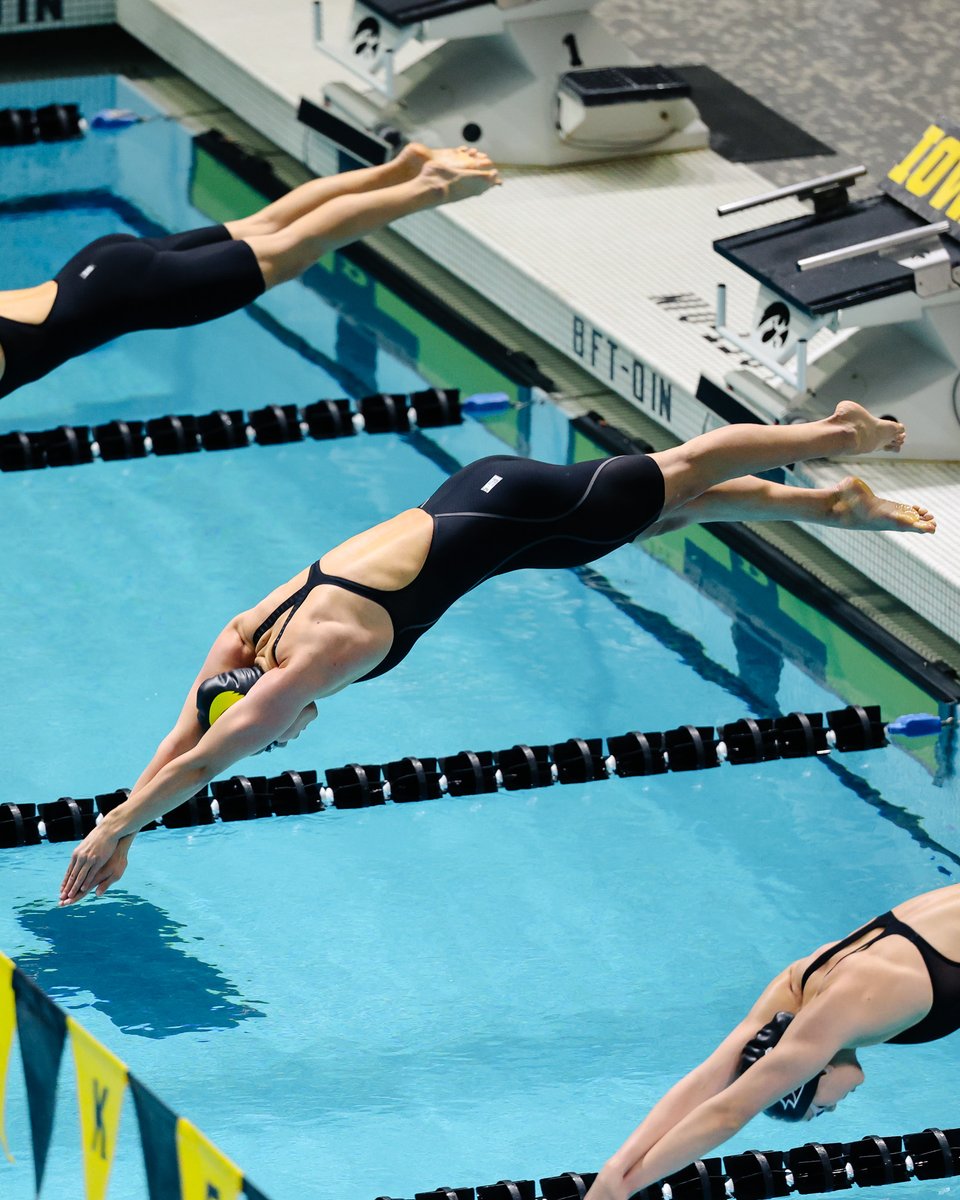 Iowa Swim & Dive tweet media