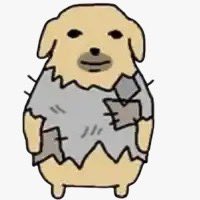 MARU 🧠⚡️🇵🇪COMMS OPEN tweet media