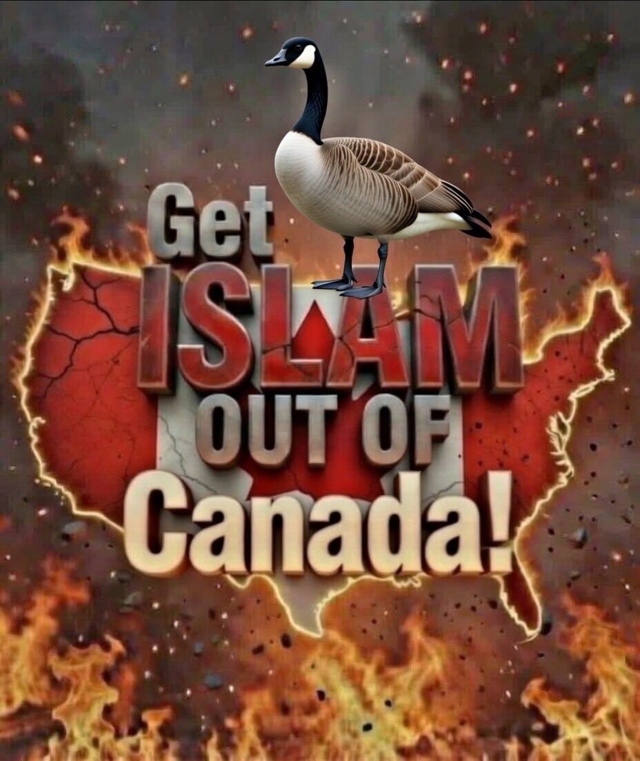 Sassygal (@sassygal1971) on Twitter photo 