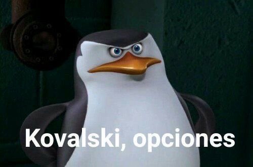 chef_memes tweet media