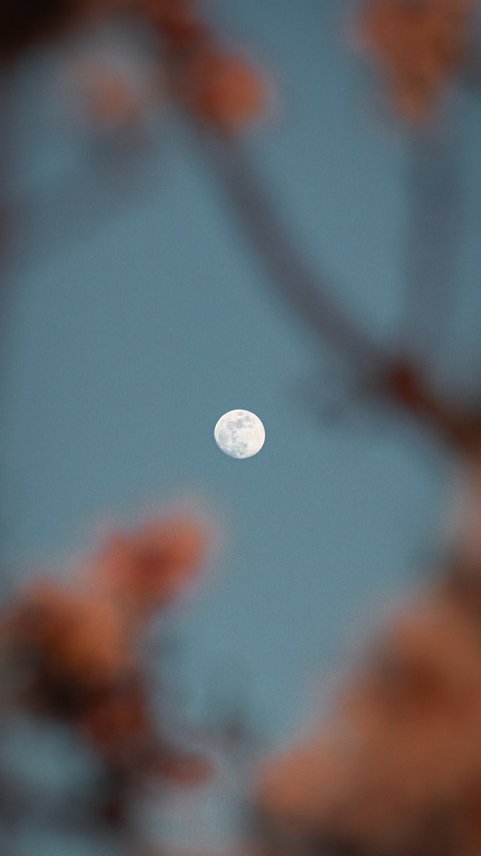 Ana.fase00 tweet media