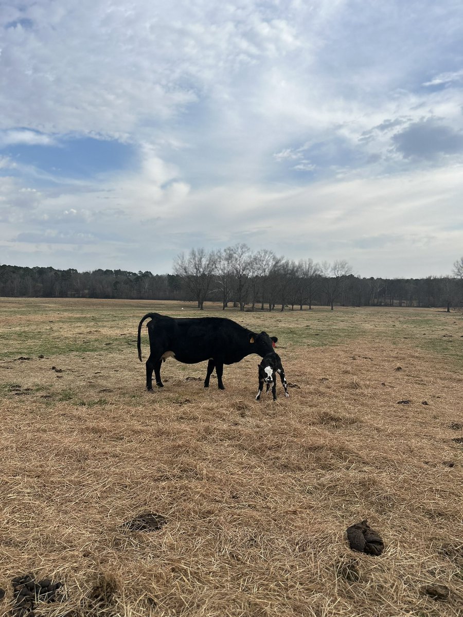 Matt Carter tweet media