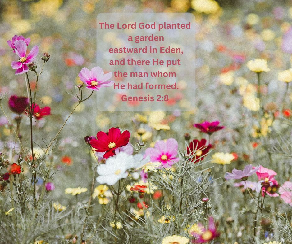 In Genesis, we read of the Garden of Eden where Adam and Eve lived and walked with God.  After their rebellion, they were expelled from the Garden. God  didn't leave humanity without the beauty of creation to draw us to Him.  Flowers remind us of God's continued love and promise.