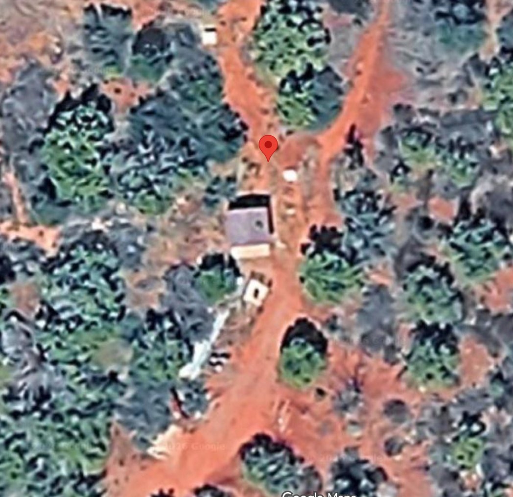 Ryan Skinner tweet media