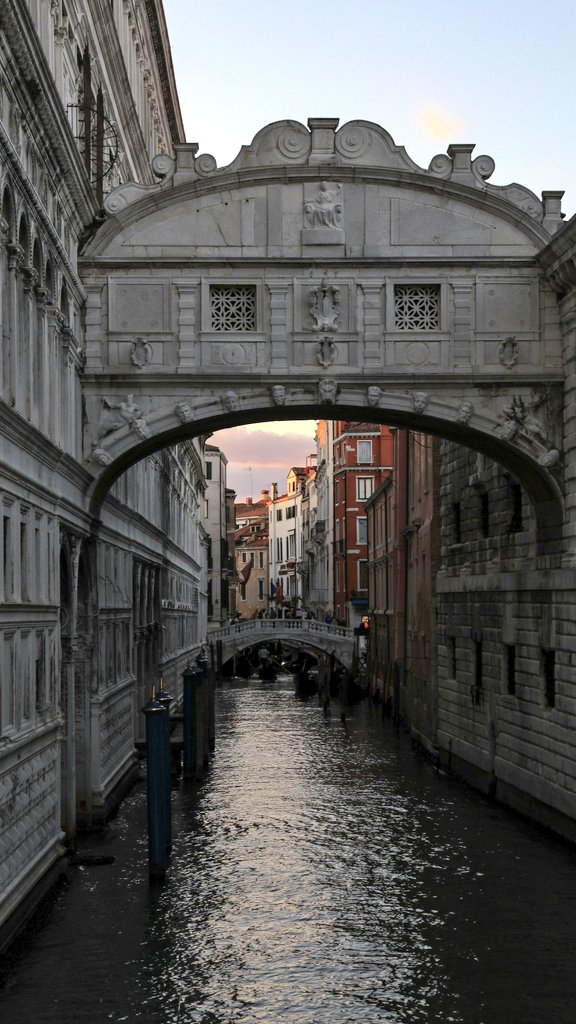 Wonceptual tweet media