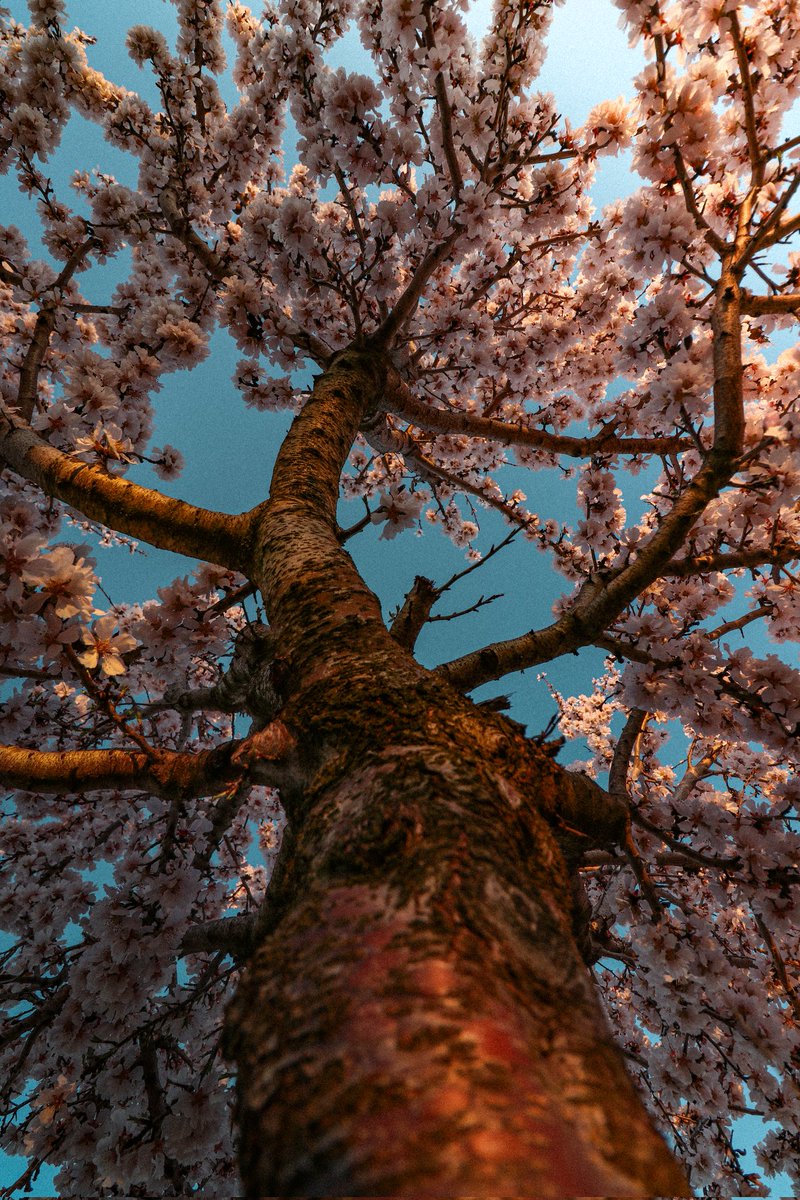 Ana.fase00 tweet media