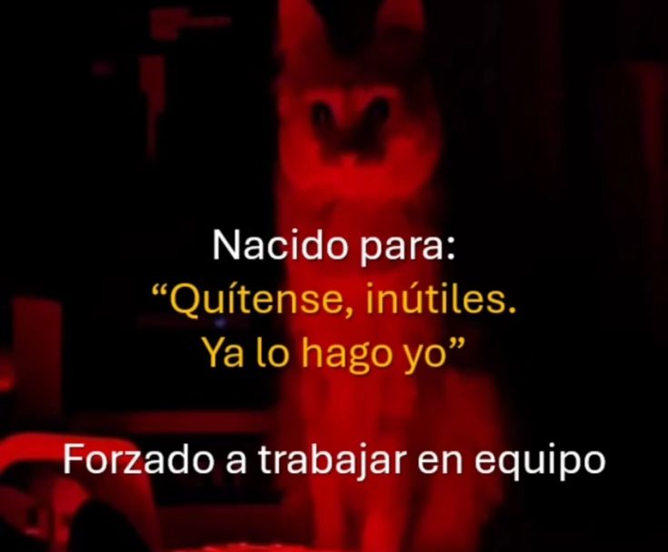 Darkness Girl tweet media