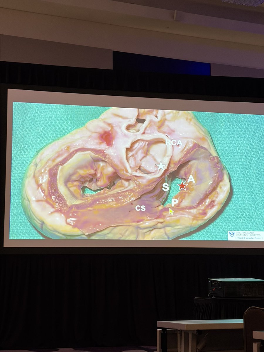 Jon Burns tweet media