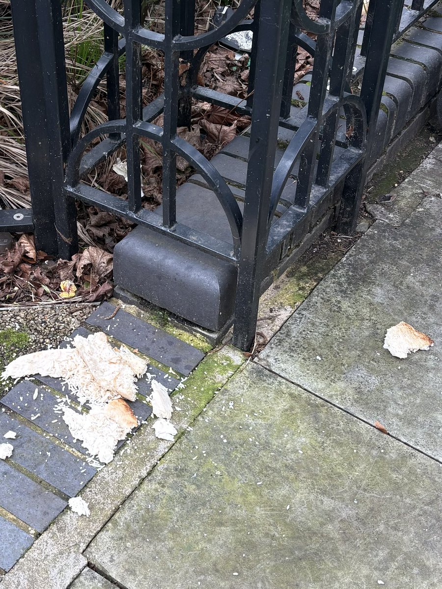 1 March 2026 - Sunday 
One person only cleaning.
Mostly the edges of the park  under the bushes which is full of litter. Also the food the residents leave for the wildlife that I was told they sometimes spike it with poison to off foxes, dogs, and the rest of the wildlife.