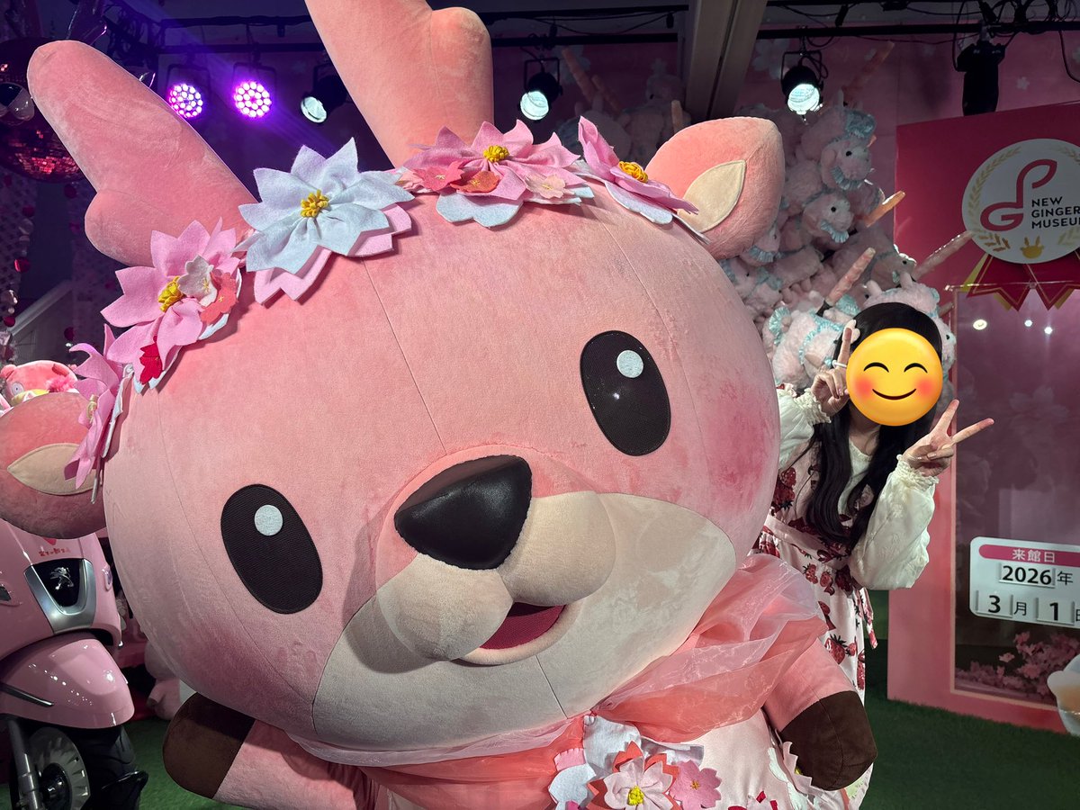 あーちゃん (@xaxxyxxnx) / Posts / X