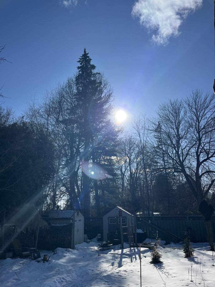 Rxgirl89's tweet photo. A sunny #March1st ๐ https://t.co/RHspky50nw