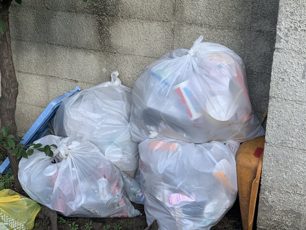 昨日の活動報告です。 公園に立ち寄ってタヌキにご挨拶☺️ 西大久保