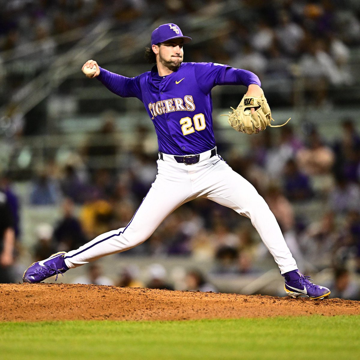 Tigers On Deck tweet media