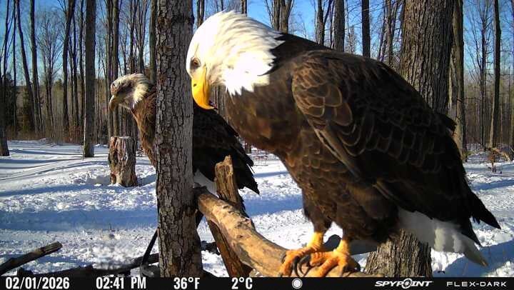 UpperMichiganOutdoors tweet media