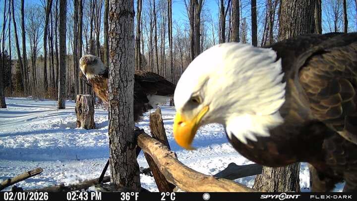 UpperMichiganOutdoors tweet media