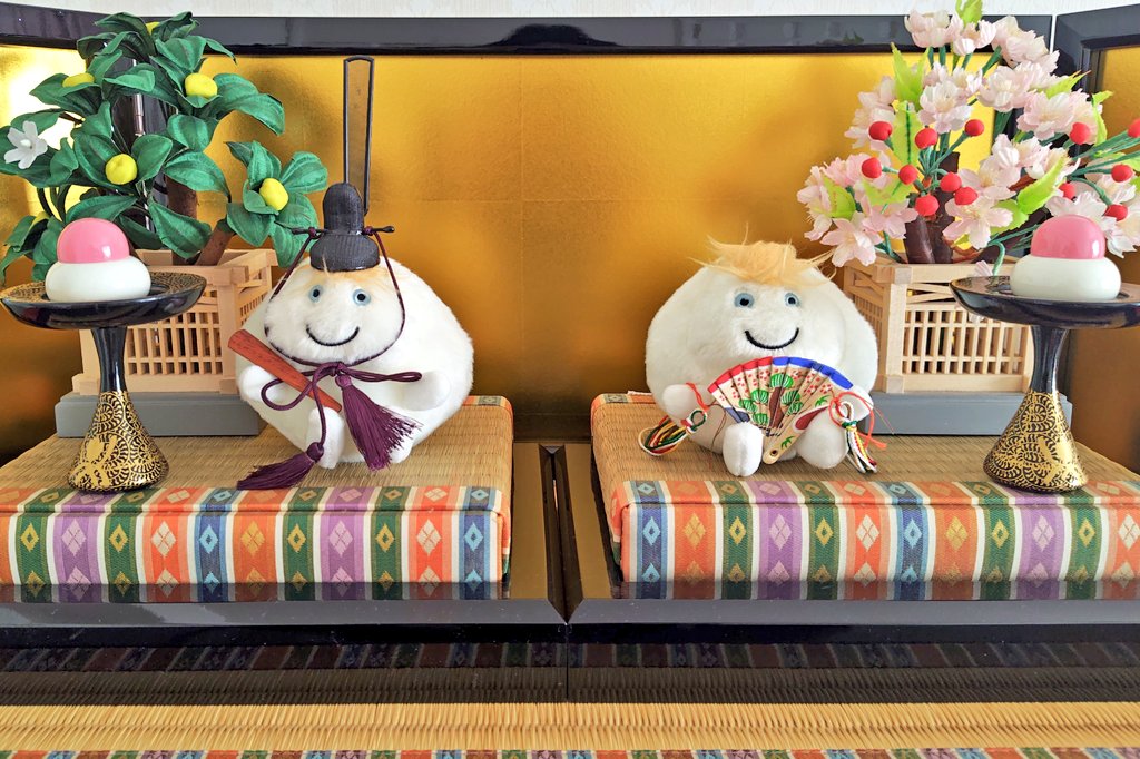 明日はひな祭り🌸 Windyちゃん雛🎎 今年も前撮りしたよ！ アタチ達も