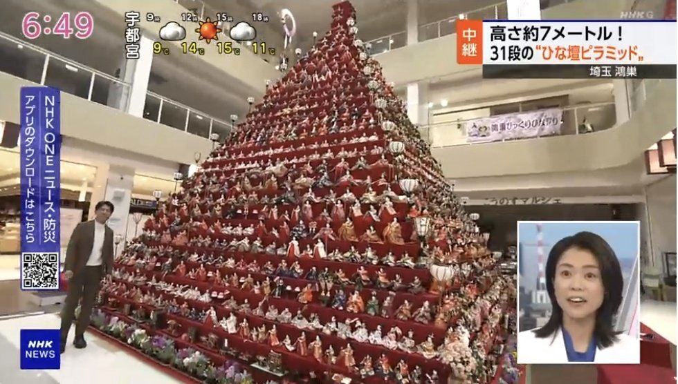 お花とひな人形の組み合わせ素敵 🌸 💠 🌸 💠 🌸 #ひな祭り🎎 🟧 中継