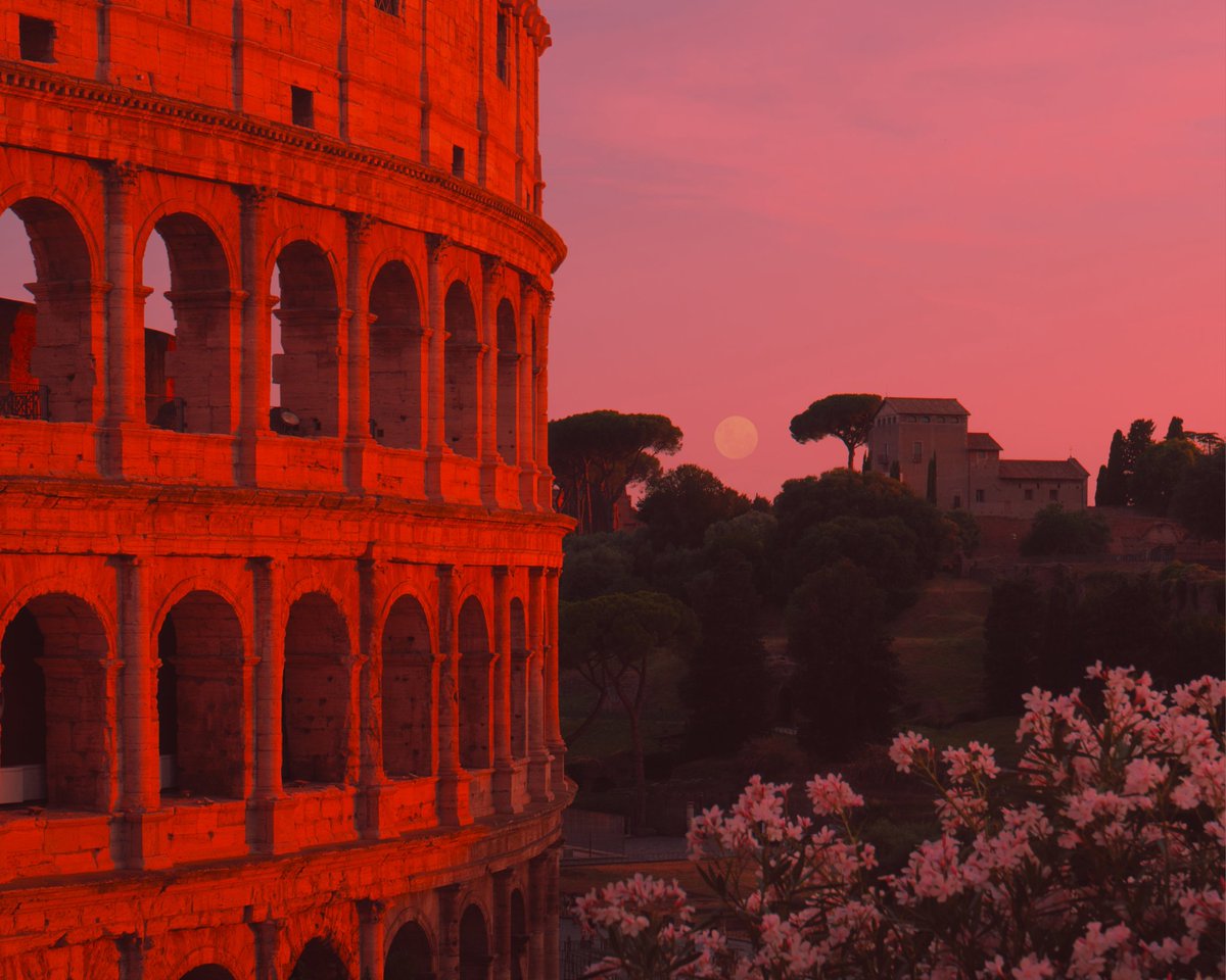 Matias Alonso Revelli tweet media