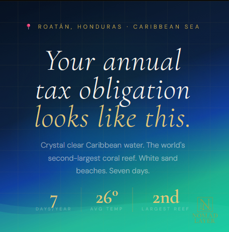 Nomad Layer tweet media