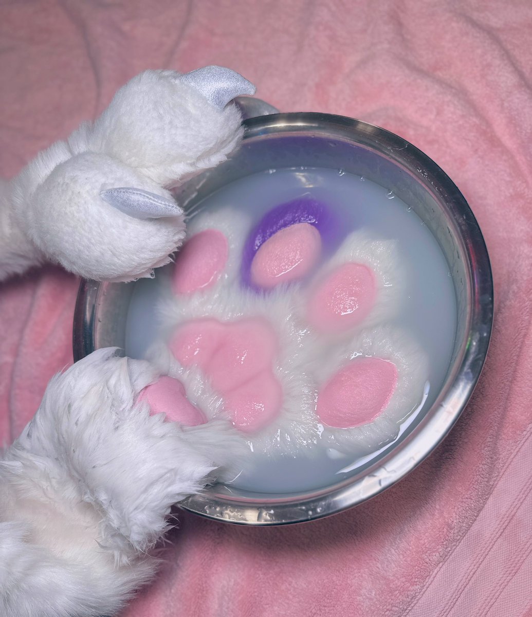 ❄️ Aurora ❄️ tweet media