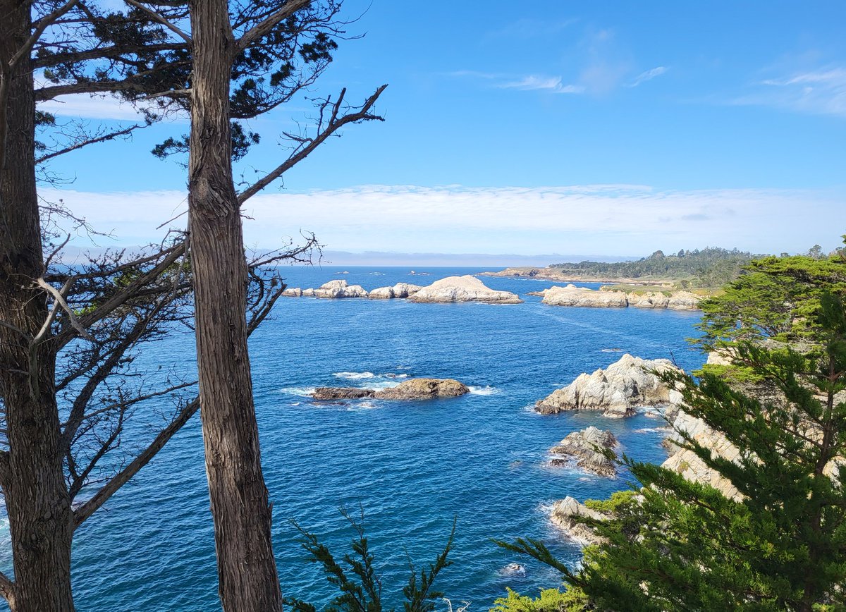 M O T T R A M tweet media