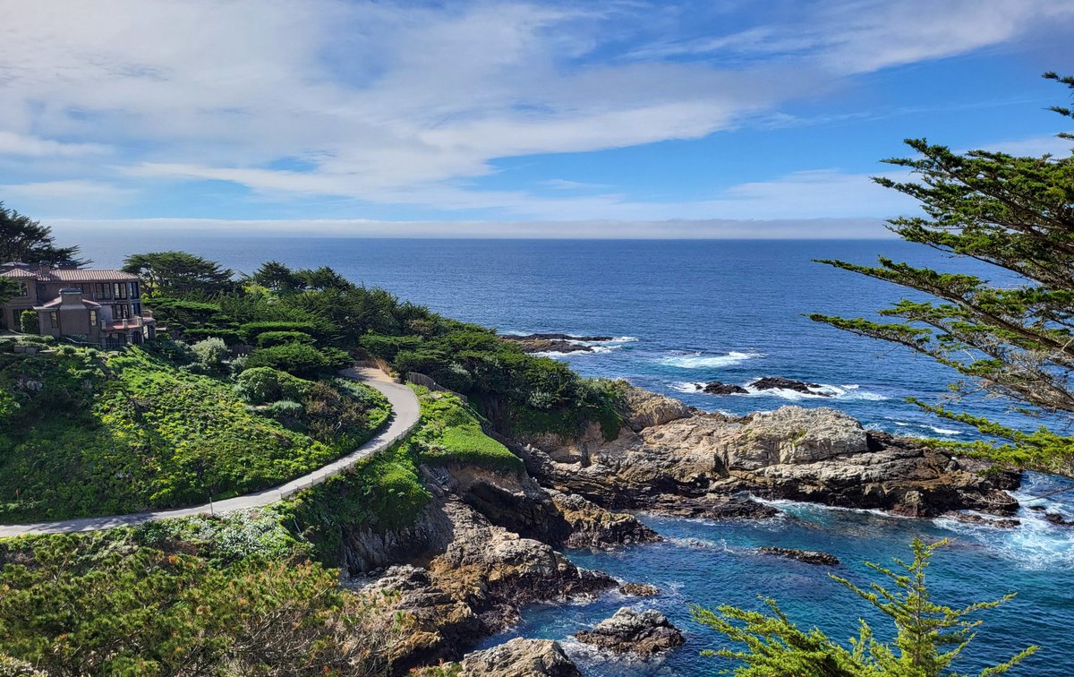 M O T T R A M tweet media