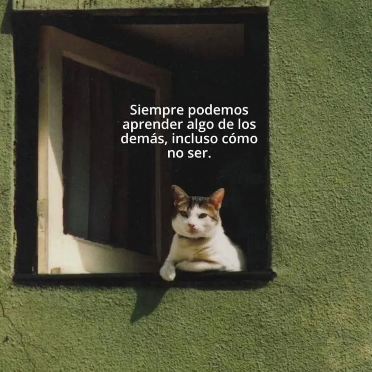 EspacioNoticias's tweet photo. https://t.co/w9xpY09vCS
