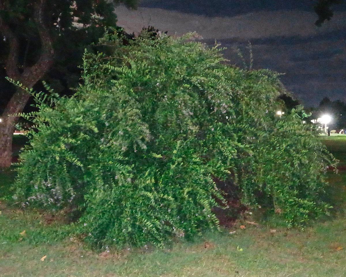 gmailsun tweet media