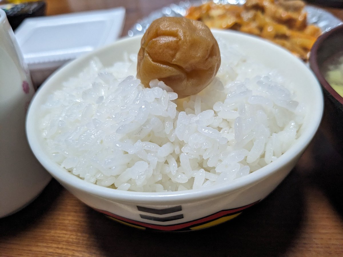 のぶモデル (@j2MAfrHTv1IXy8R) / Posts / X