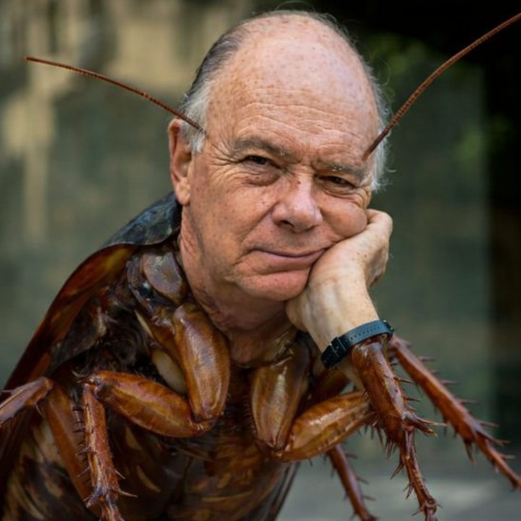 Gektor0922's tweet photo. La miserable cucaracha ambiciosa y sionista @EnriqueKrauze haciendo lo que mejor sabe hacer.
El asqueroso ashkenazi con aires de "intelectual" tan solo es una gran 💩
#Textoservidor
#Sionistas
#IsraelTerroristState https://t.co/DWfzU1mCli