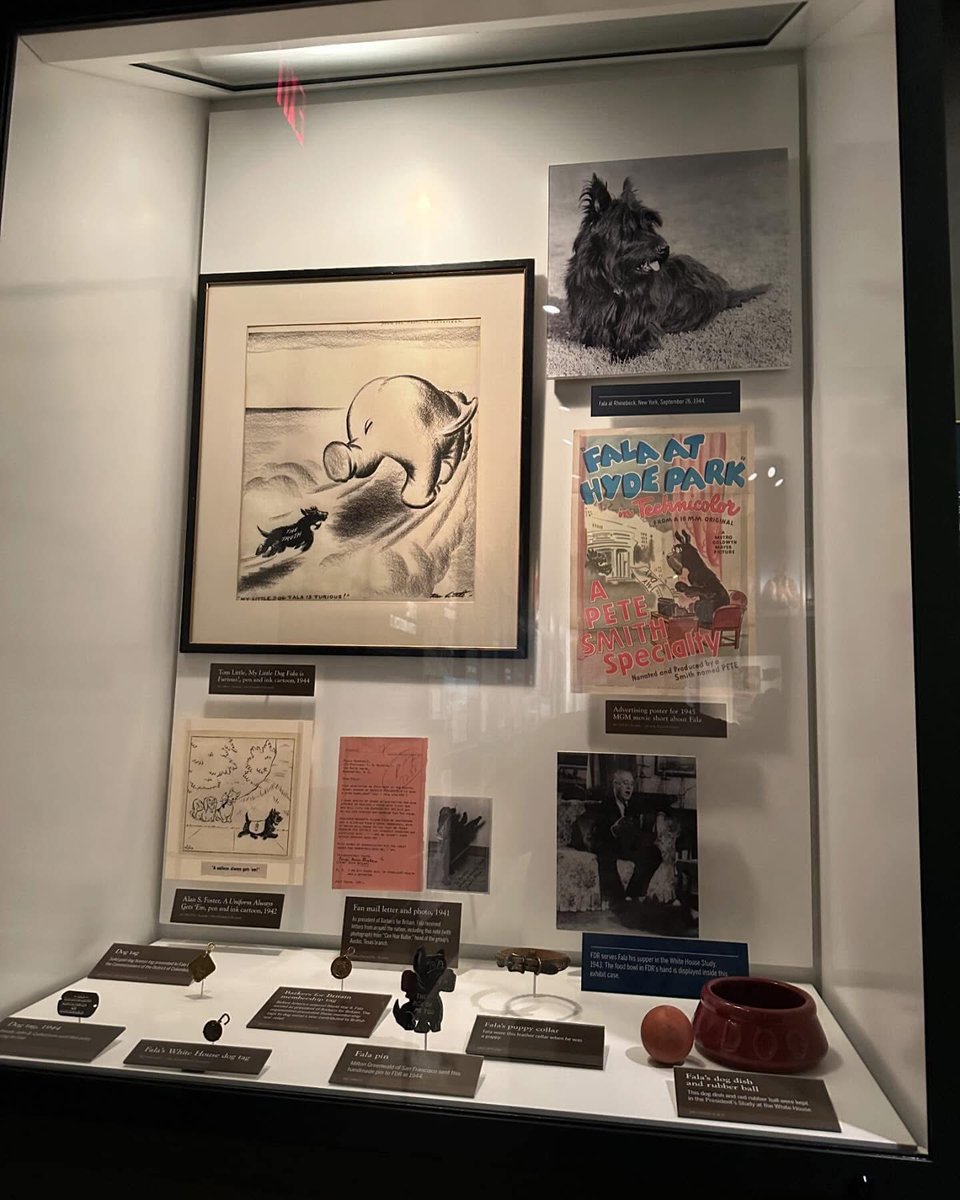 PresidentsVisit's tweet image. Fala’s display at the Franklin Roosevelt Presidential Library! ⚰️🪦🦅🇺🇸🏛 

Check out “Franklin Roosevelt’s Tomb” from “Visiting the Presidents”! visitingthepresidents.com/2026/02/17/sea…

#Fala #FranklinRoosevelt #HydePark #grave